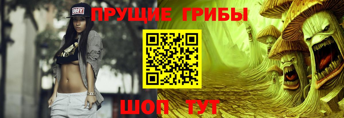 Ноябрьск  Галлюциногенные грибы Psilocybe  Вход с VPN 